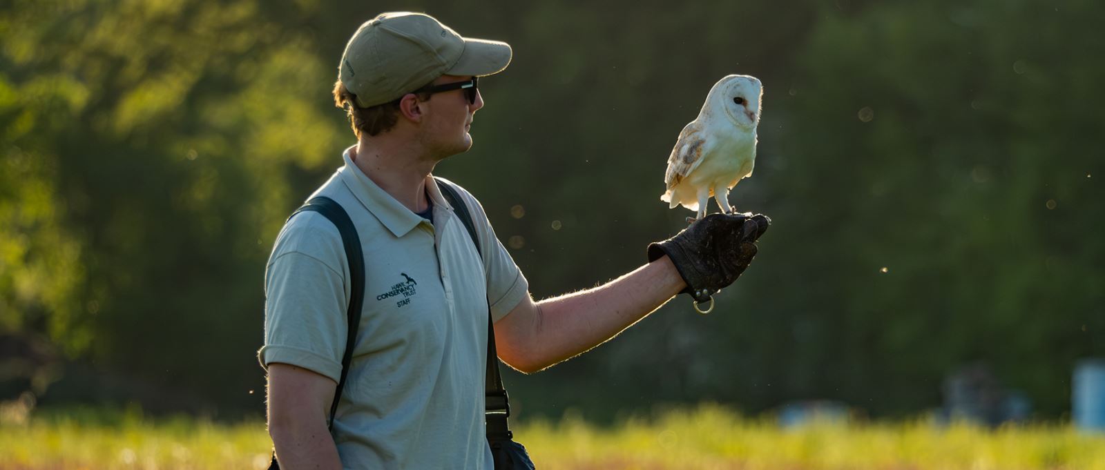 Hawk Conservancy Trust
